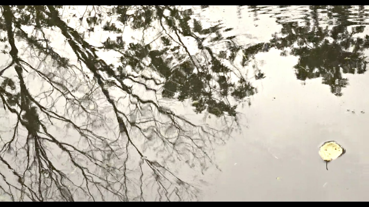 Image of movie Viennale-Trailer 2022: Walden