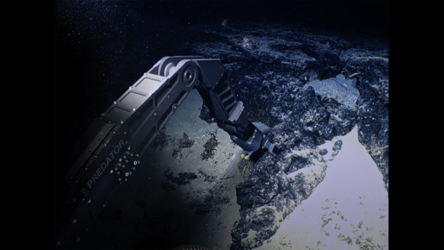 Image of movie Bloom