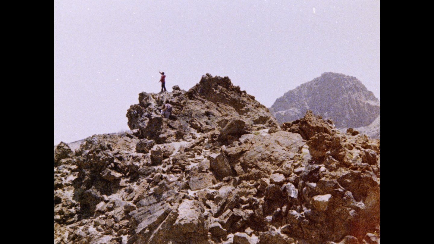 Image of movie Bloom