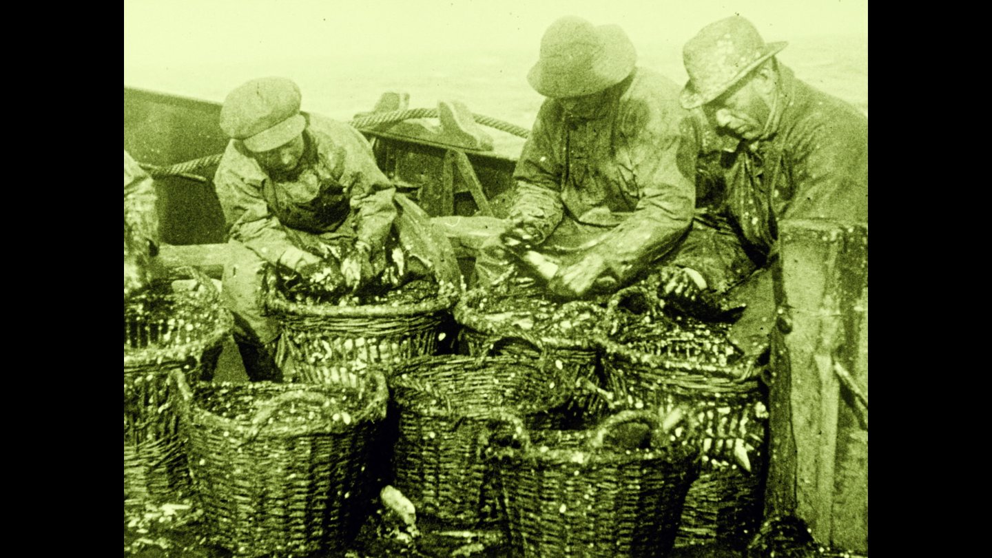 Image of movie Dearest Fiona