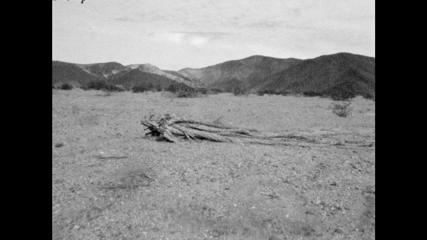 Image of movie El Chinero, un cerro fantasma