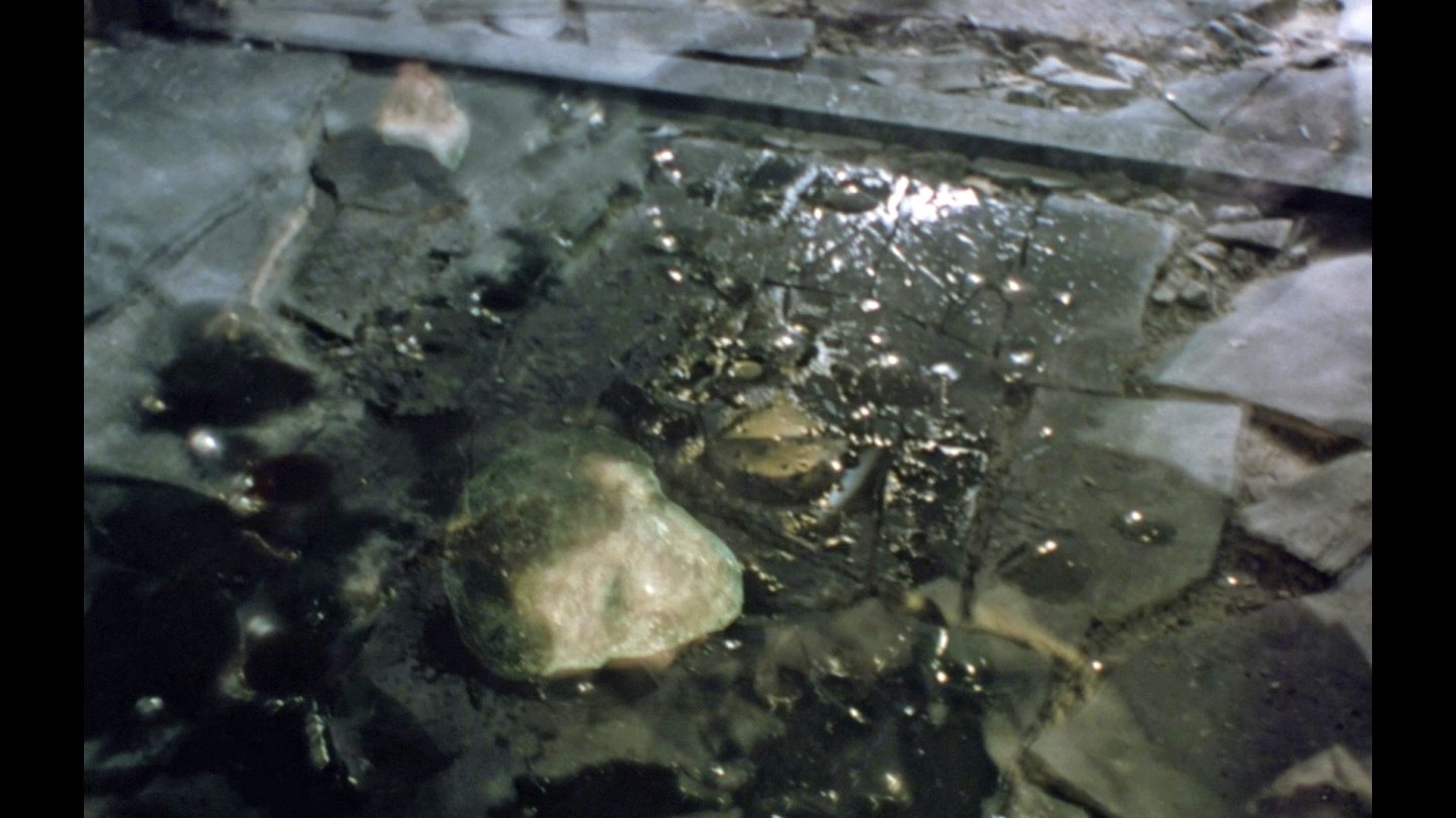 Image of movie Faces Of Death