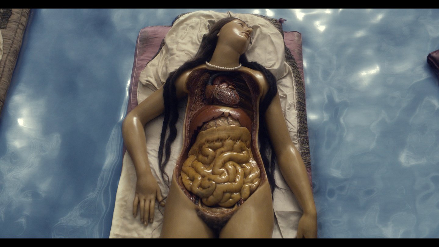 Image of movie Four Unloved Women, Adrift on a Purposeless Sea, Experience the Ecstasy of Dissection