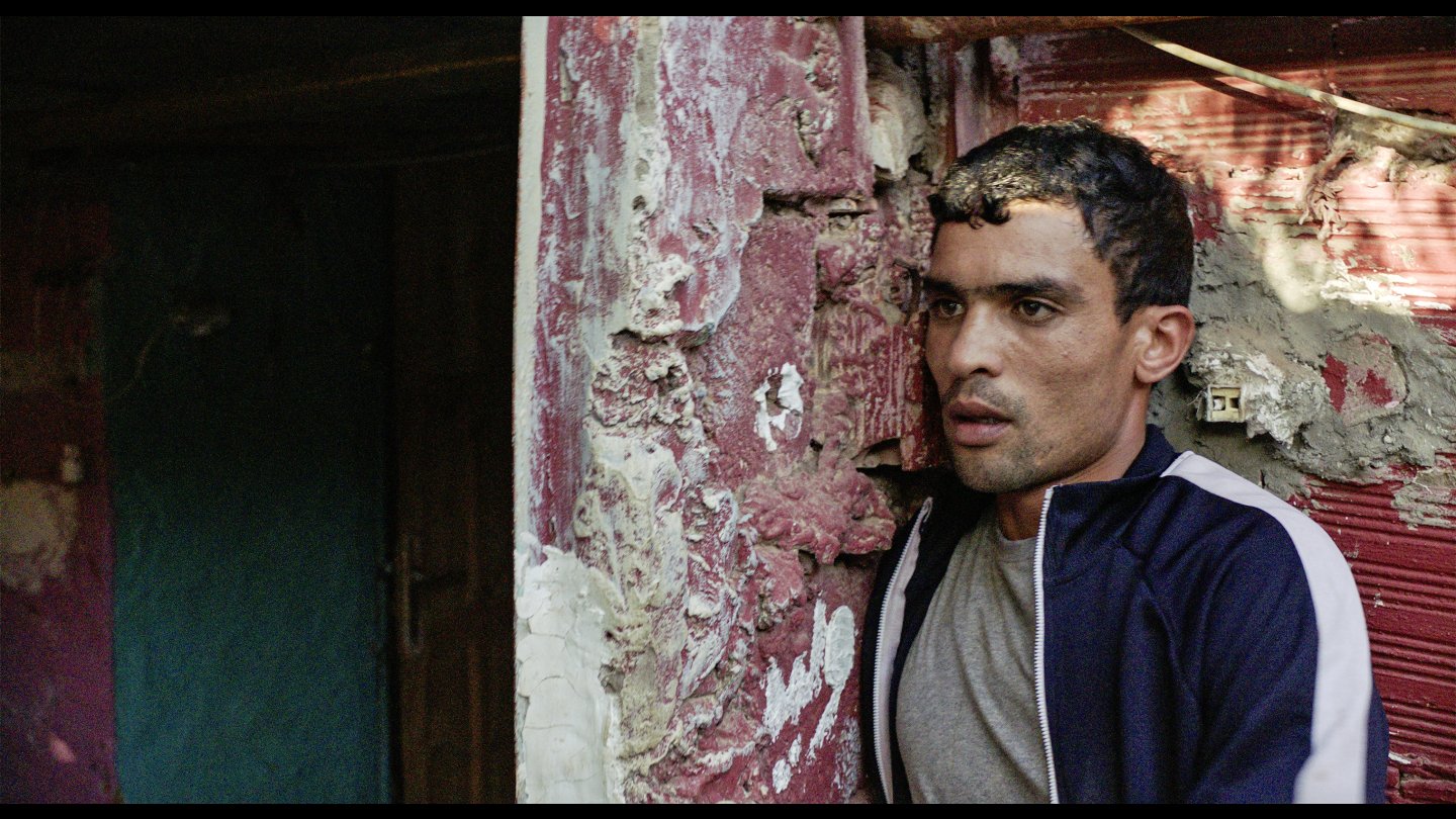 Image of movie Les Meutes