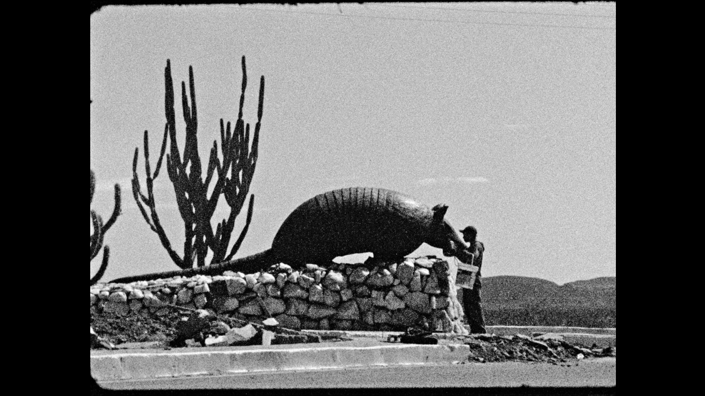 Image of movie Sertão, América
