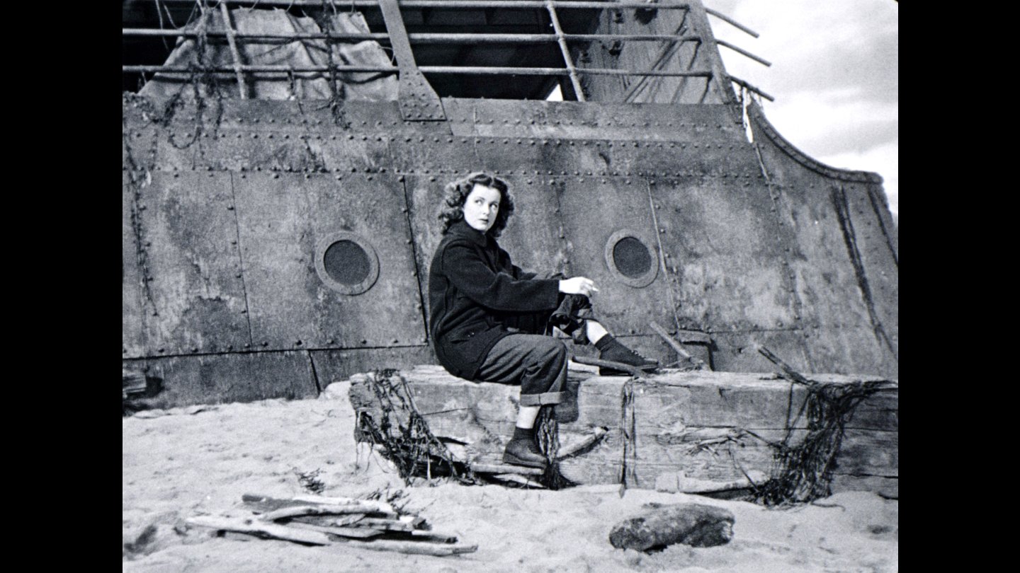 Image of movie The Woman on the Beach
