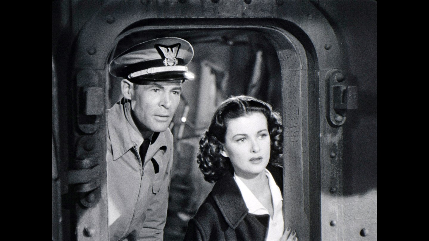 Image of movie The Woman on the Beach