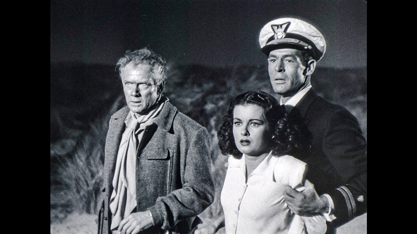 Image of movie The Woman on the Beach