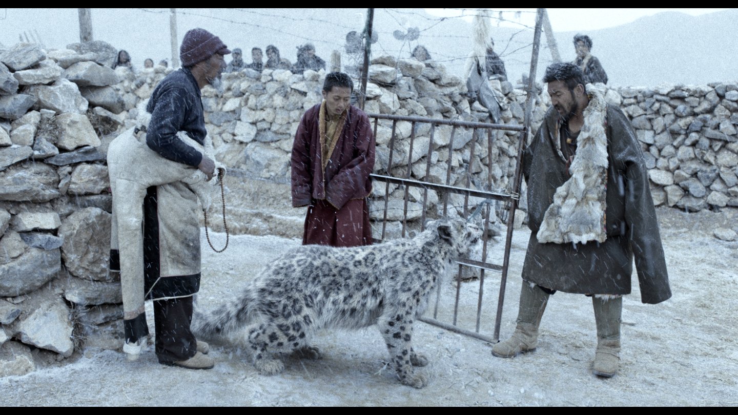 Image of movie Xue bao