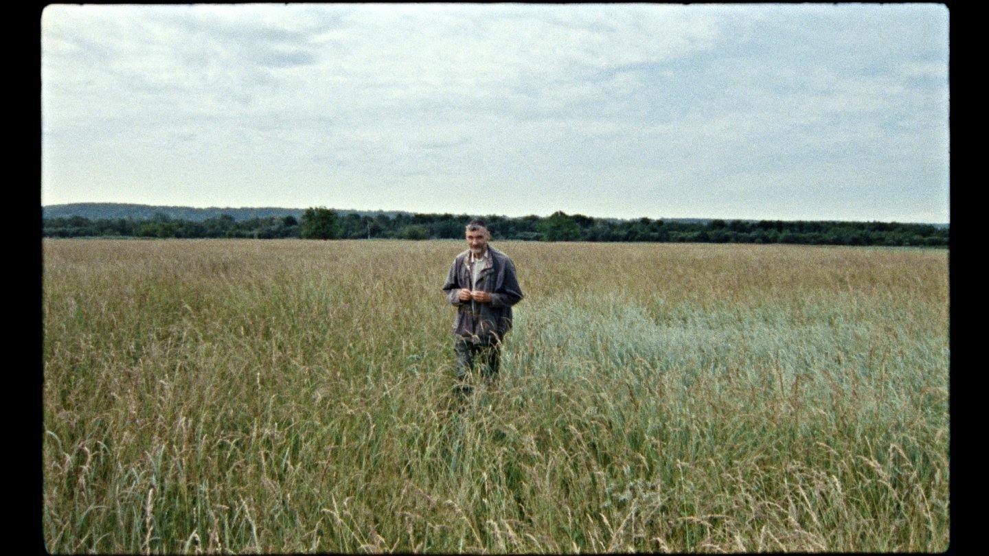 Image of movie 7 promenades avec Mark Brown