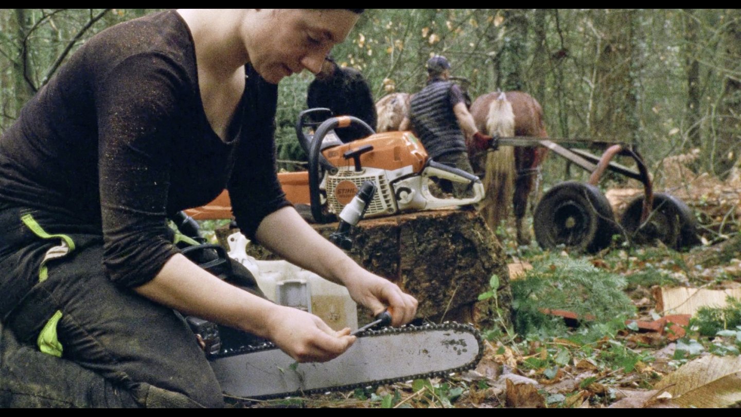 Image of movie Direct Action