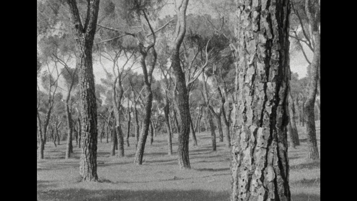 Image of movie Materia vibrante