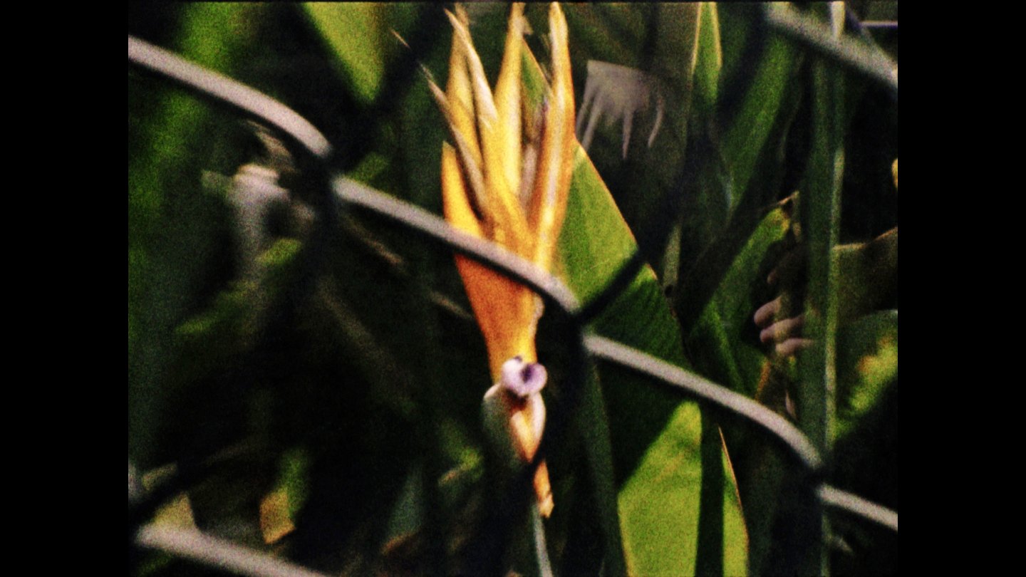 Image of movie Potenciais à deriva