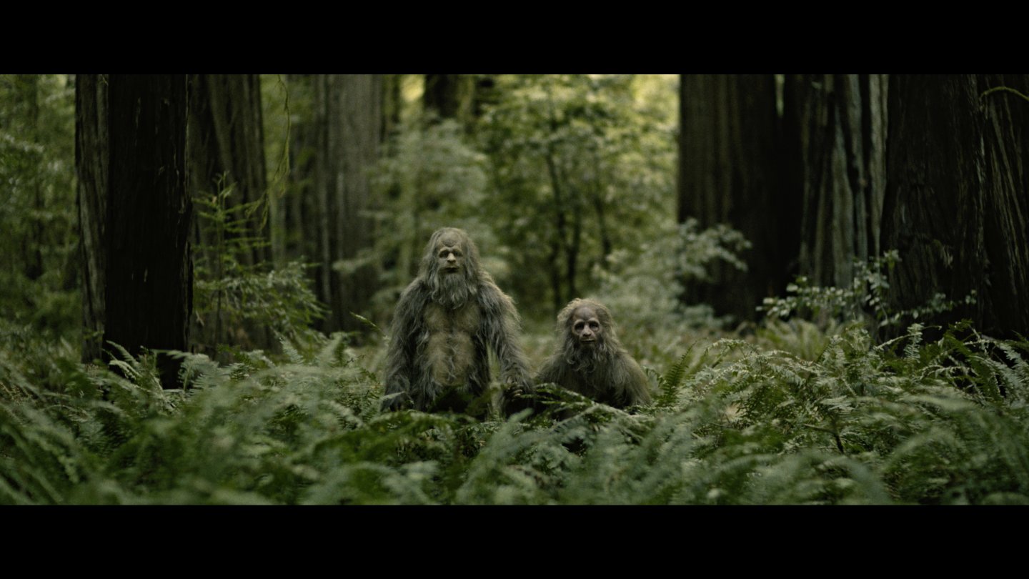 Image of movie Sasquatch Sunset
