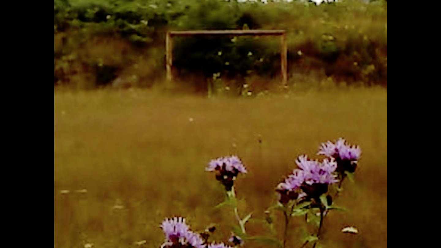Filmstill of Dry Leaf
