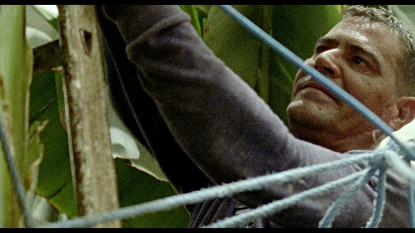 Filmstill of Un dragón de cien cabezas