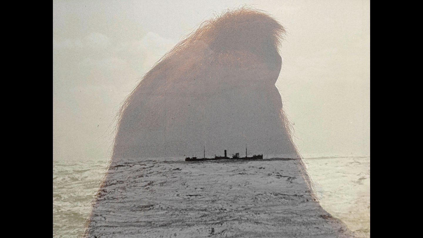 Filmstill of A Person of the Forest