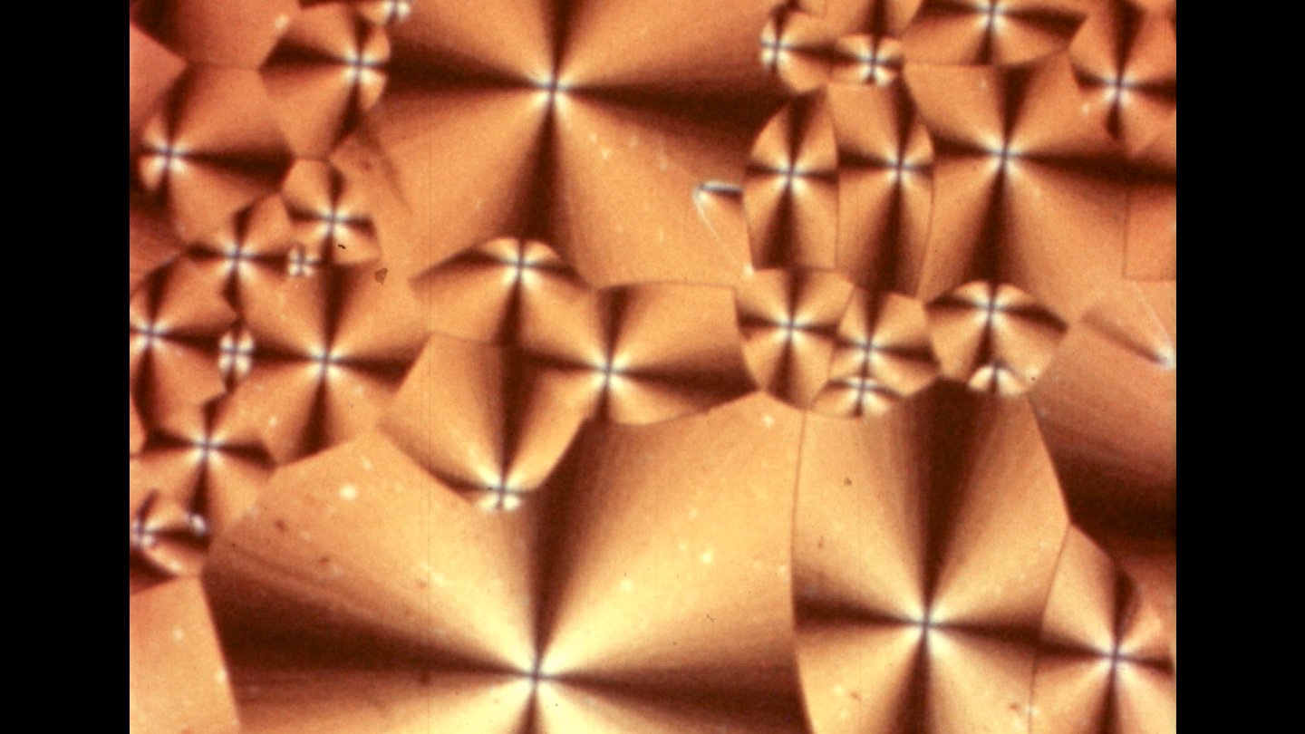 Filmstill of Crystal Palace