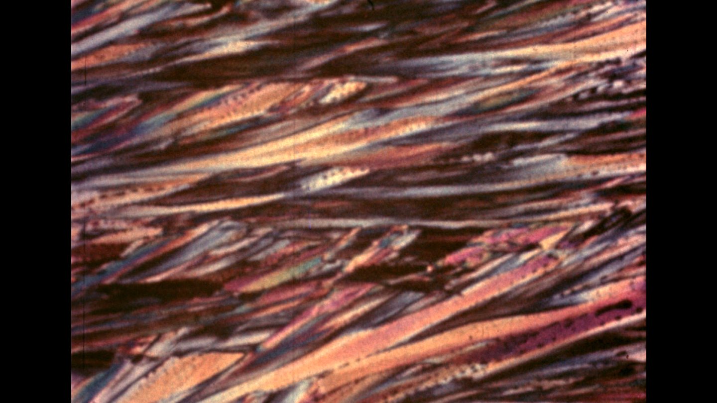 Filmstill of Crystal Palace