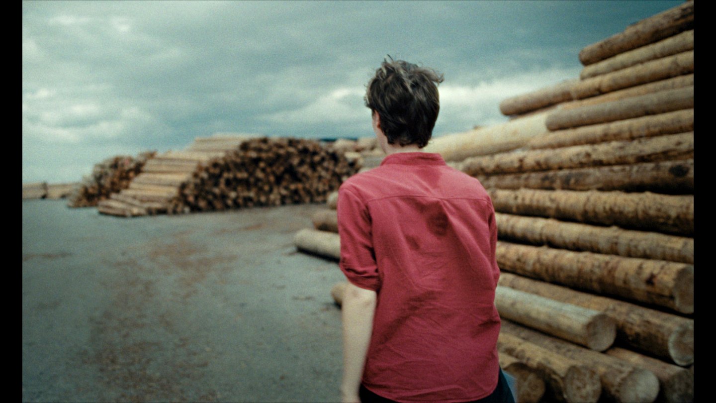Filmstill of Erinnerungen eines Waldes