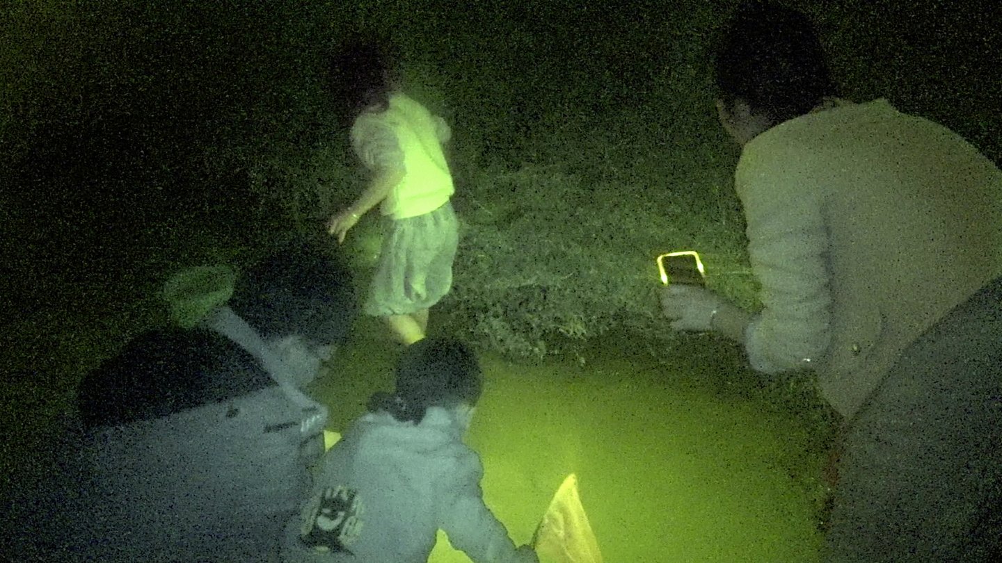 Filmstill of Fire Flies