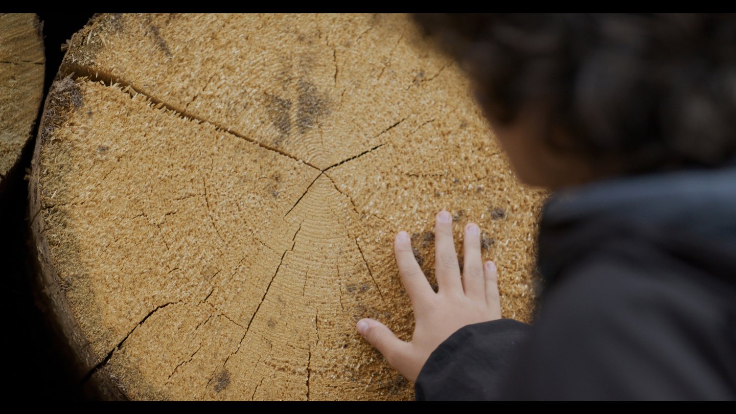 Filmstill of Holy Wood Dust
