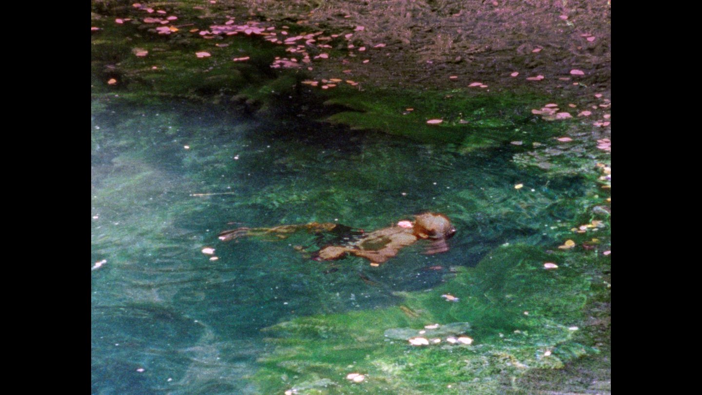 Filmstill of Microcosmic Orbit: Encased