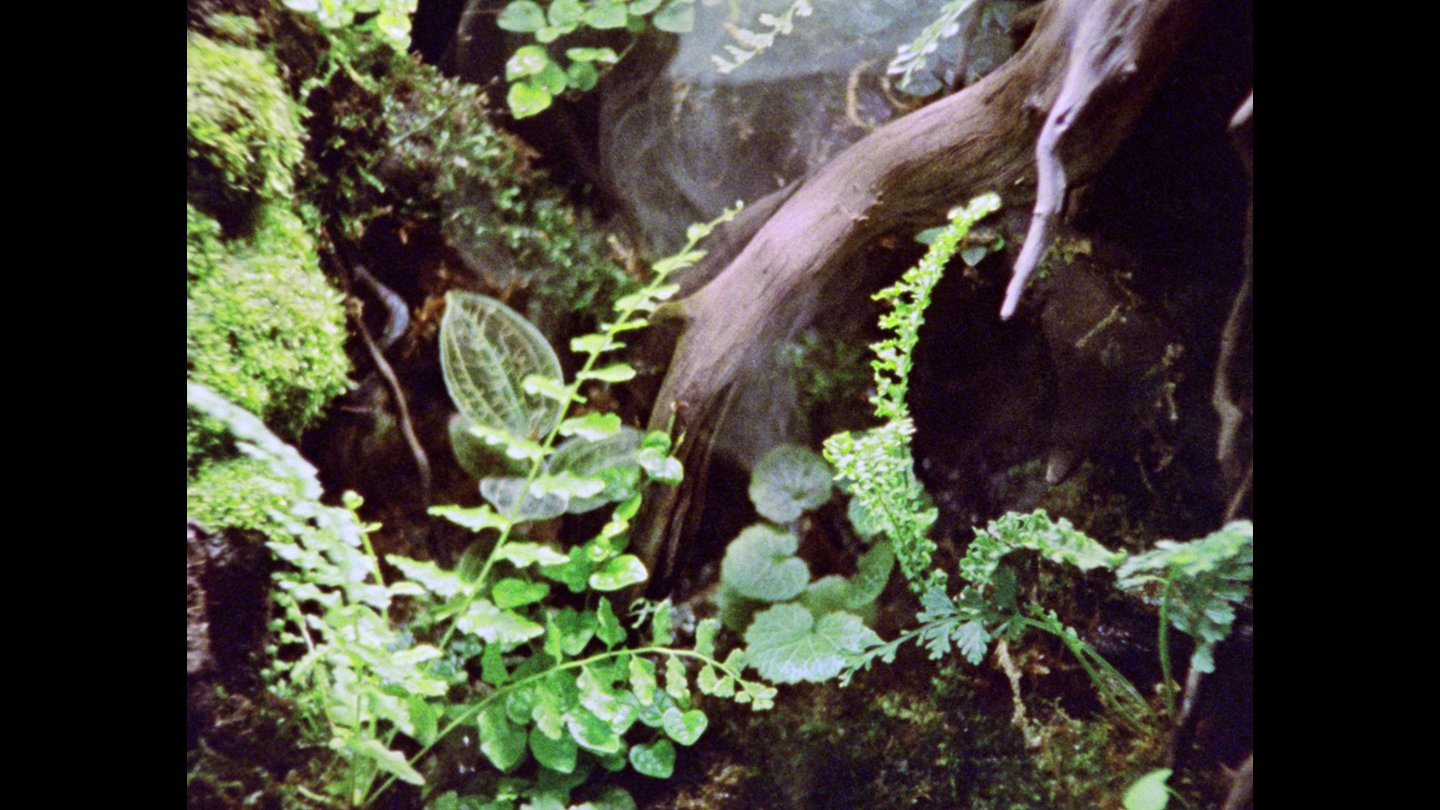 Filmstill of Microcosmic Orbit: Encased