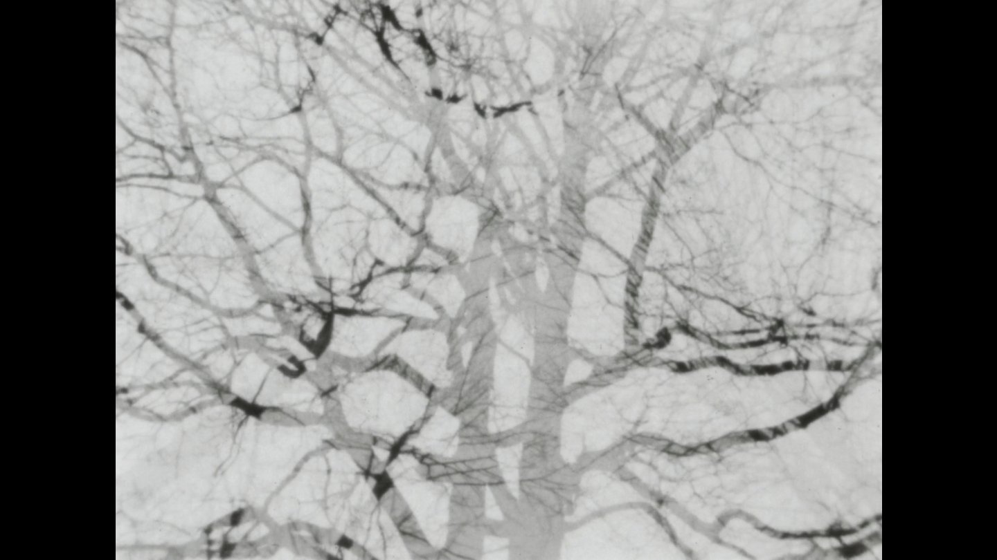 Filmstill of Nokturno