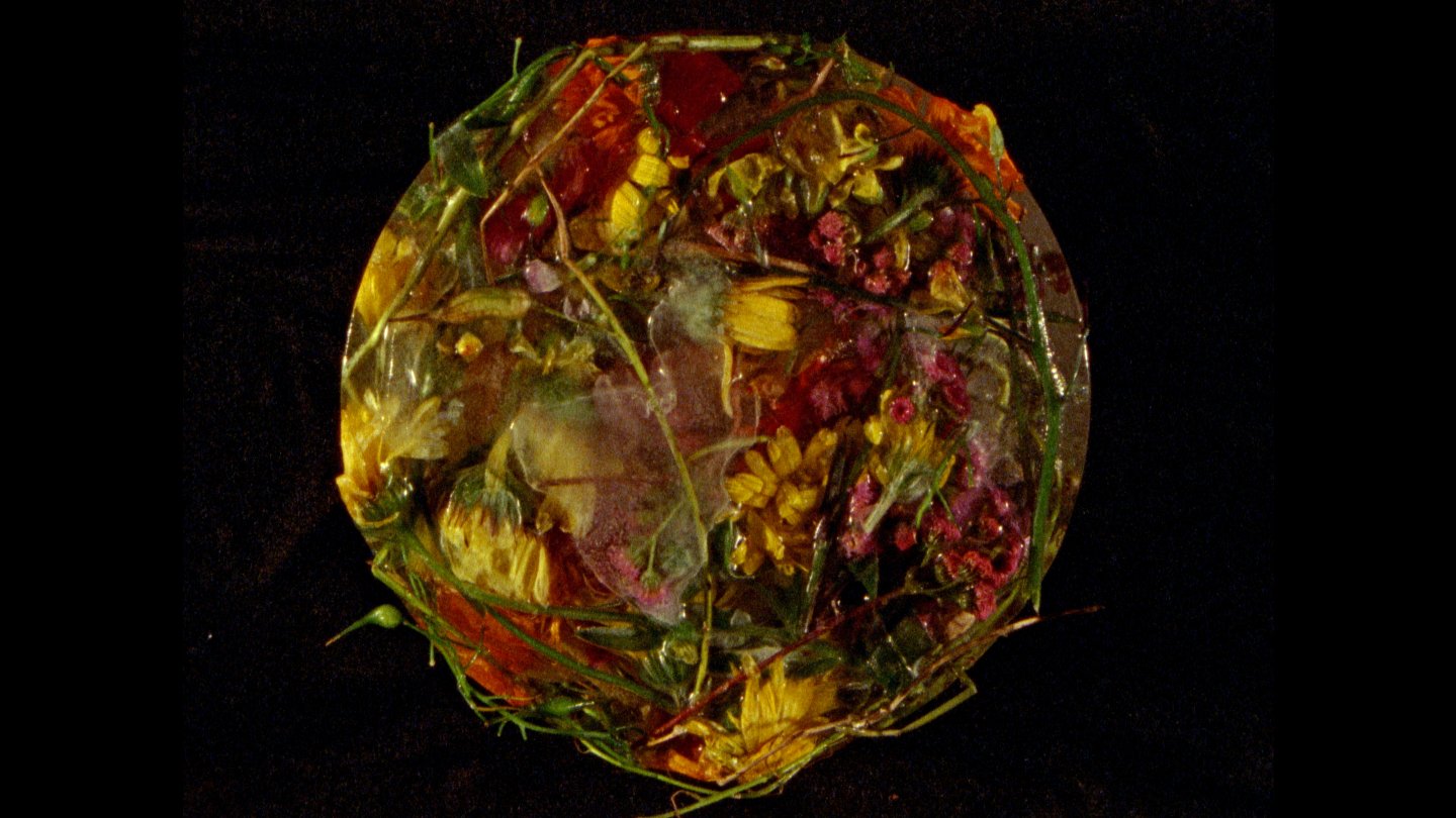 Filmstill of Wasteland No. 3: Moons, Sons