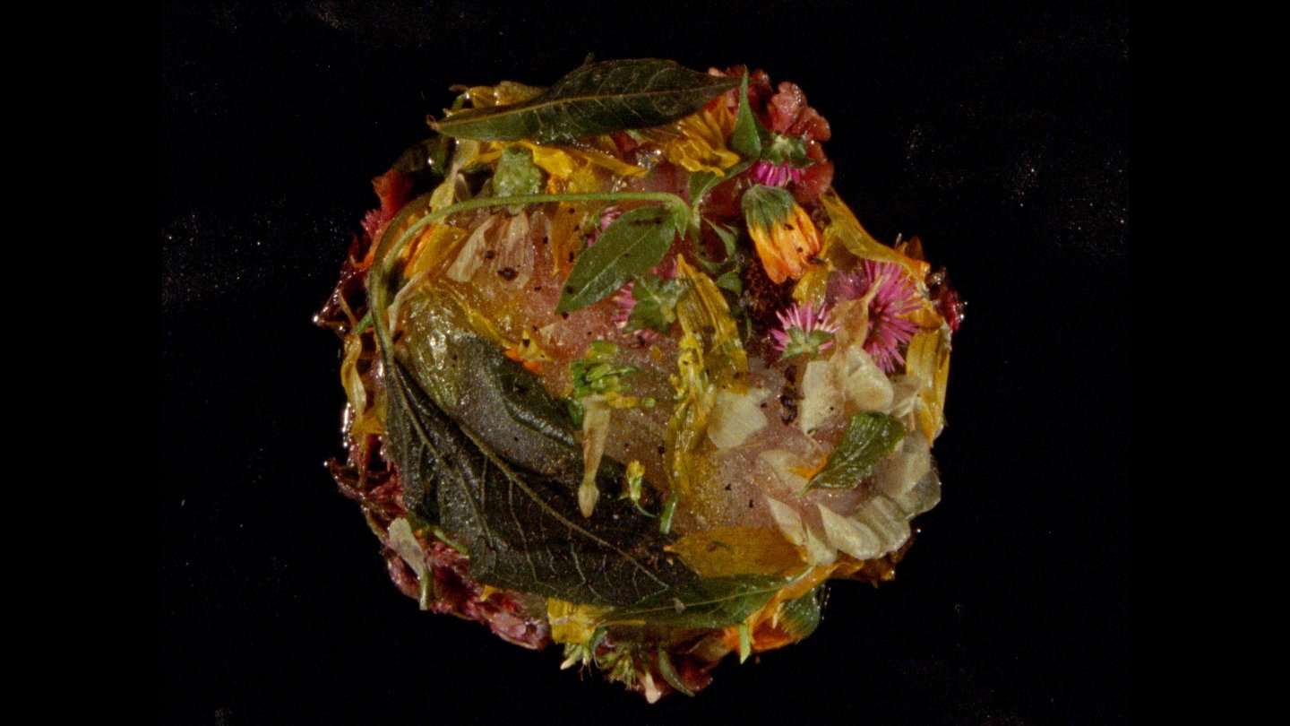 Filmstill of Wasteland No. 3: Moons, Sons