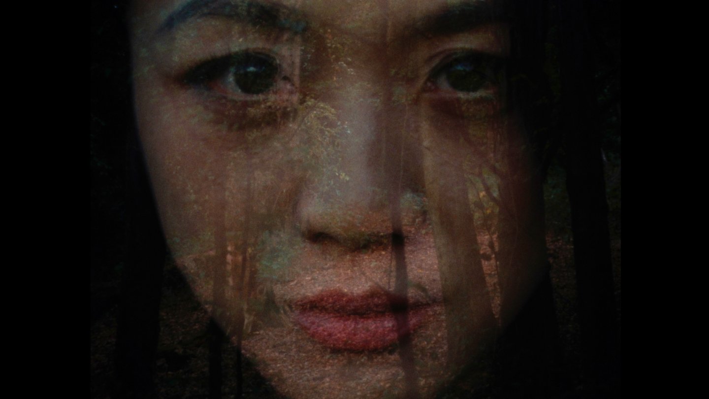 Filmstill of The Wind, One Brilliant Day