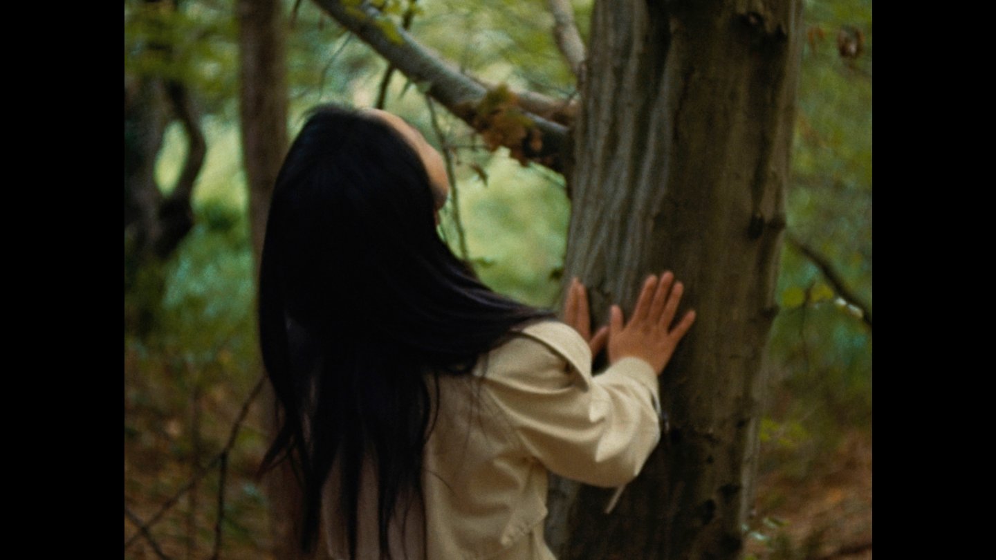 Filmstill of The Wind, One Brilliant Day