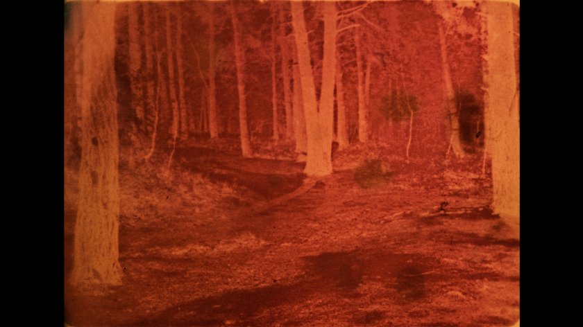 Image of movie and so it came about (A Tale of Consequential Dormancy)