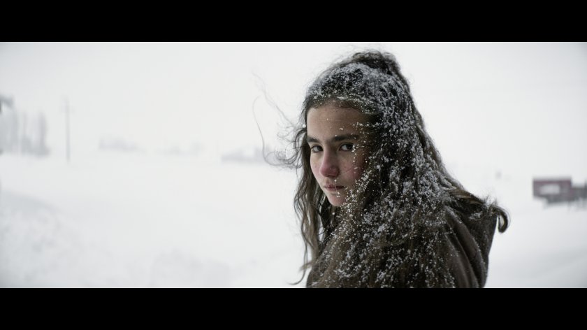 Image of movie Kuru otlar üstüne