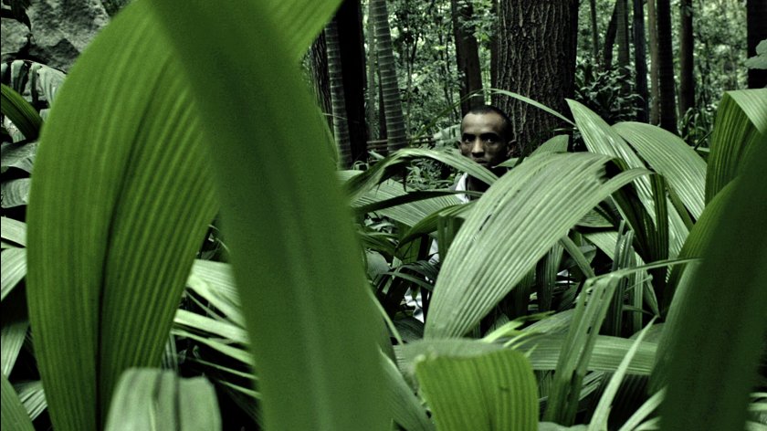 Image of movie Mata Atlantica 