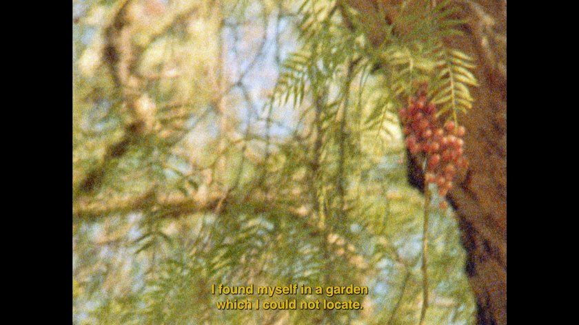 Image of movie The Secret Garden