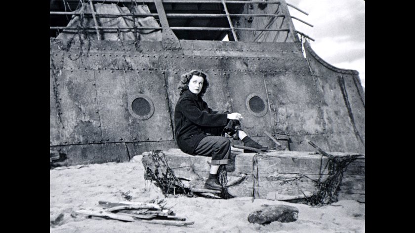 Image of movie The Woman on the Beach