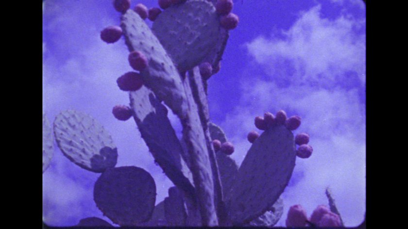 Image of movie Coyolxauhqui