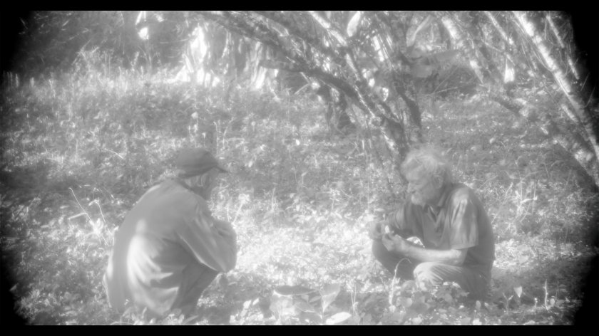 Image of movie Paradies