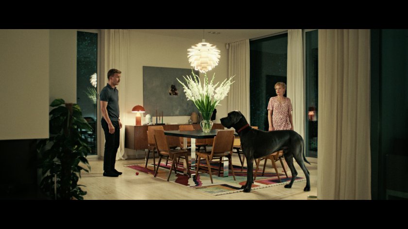 Image of movie Pfau - Bin ich echt?