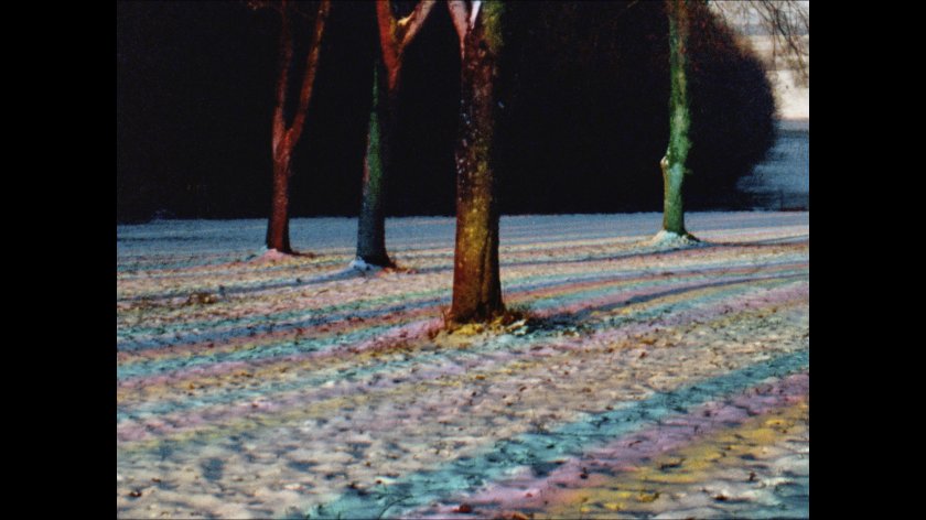 Filmstill of Rojo Žalia Blau