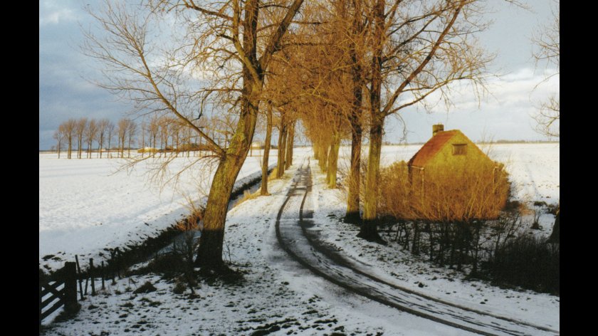 Filmstill of Weemoed & Wildernis
