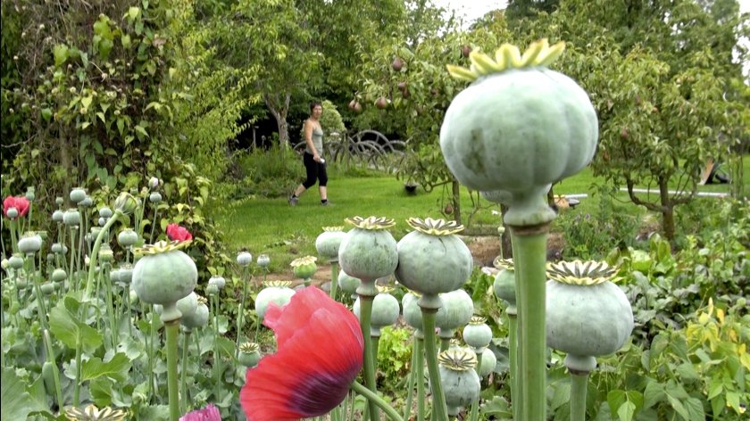 Filmstill of Merci d'être venu