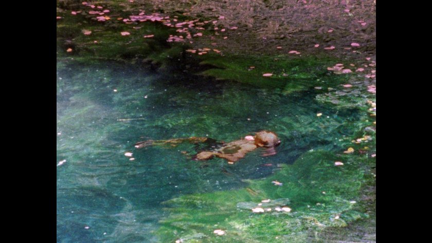Filmstill of Microcosmic Orbit: Encased 
