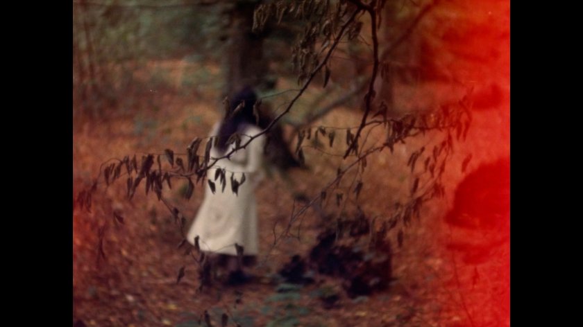 Filmstill of The Wind, One Brilliant Day