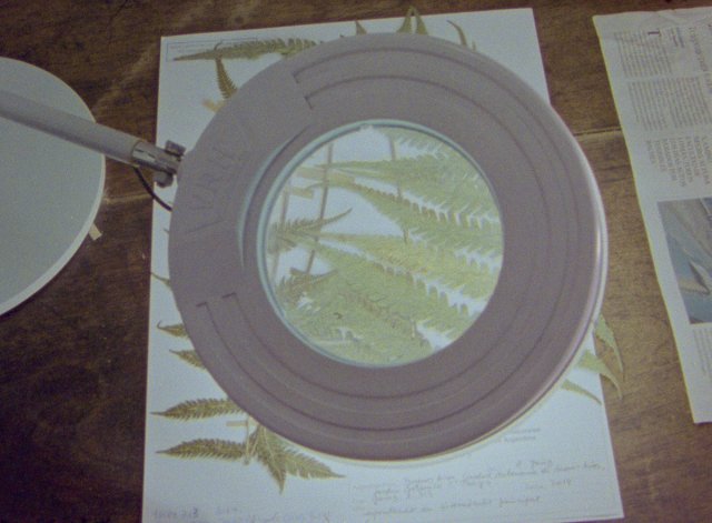 Image of movie Herbaria