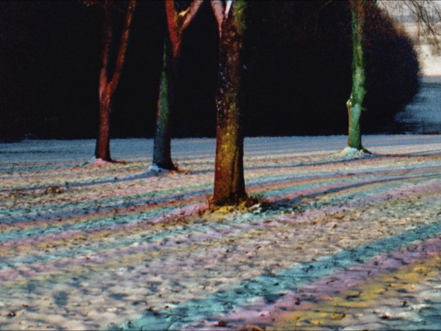 Filmstill of Rojo Žalia Blau