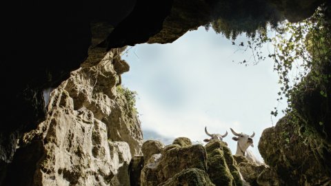Image of movie Il buco